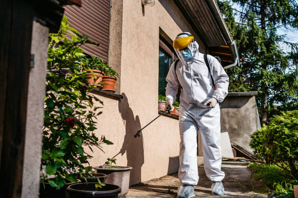 Trusted Wahiawa, HI Pest Control Experts