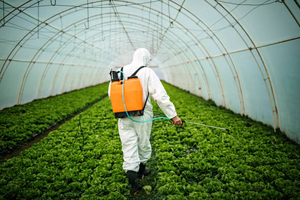 Best Residential Pest Control  in Waawa, HI